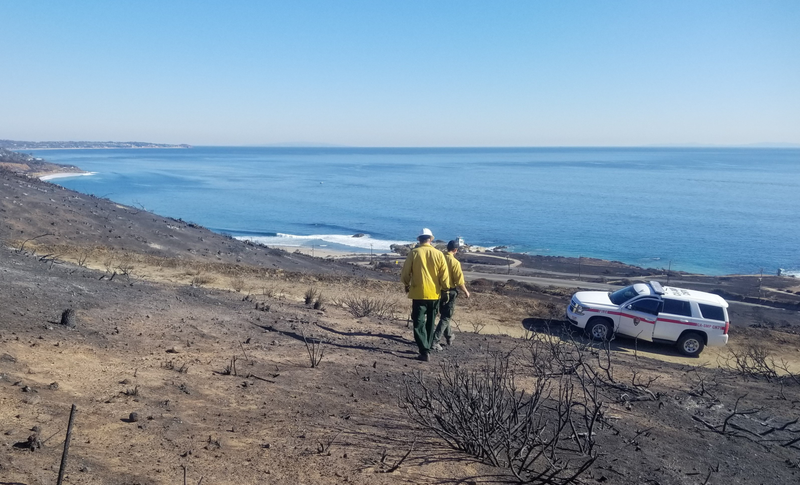 NPS staff assessing damage after the Woolsey Fire. Scorched landscapes like this are common across the Santa Monica Mountains.
